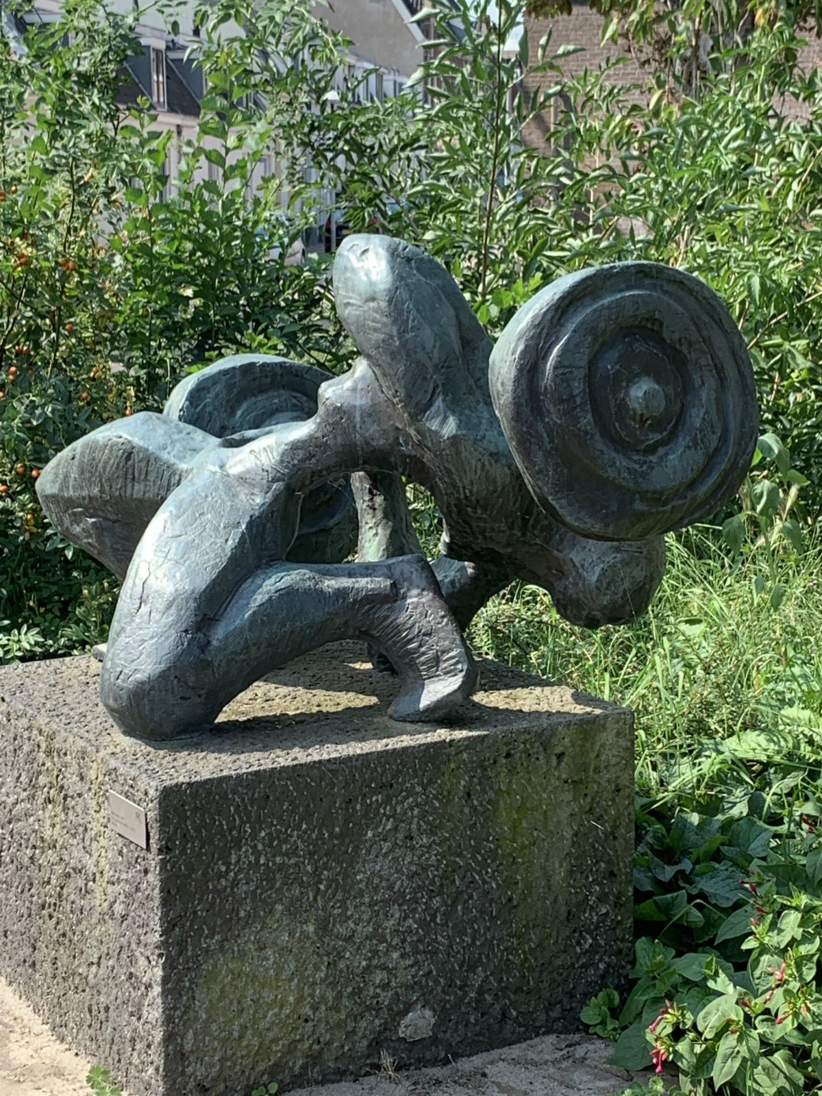 De gewichtheffer