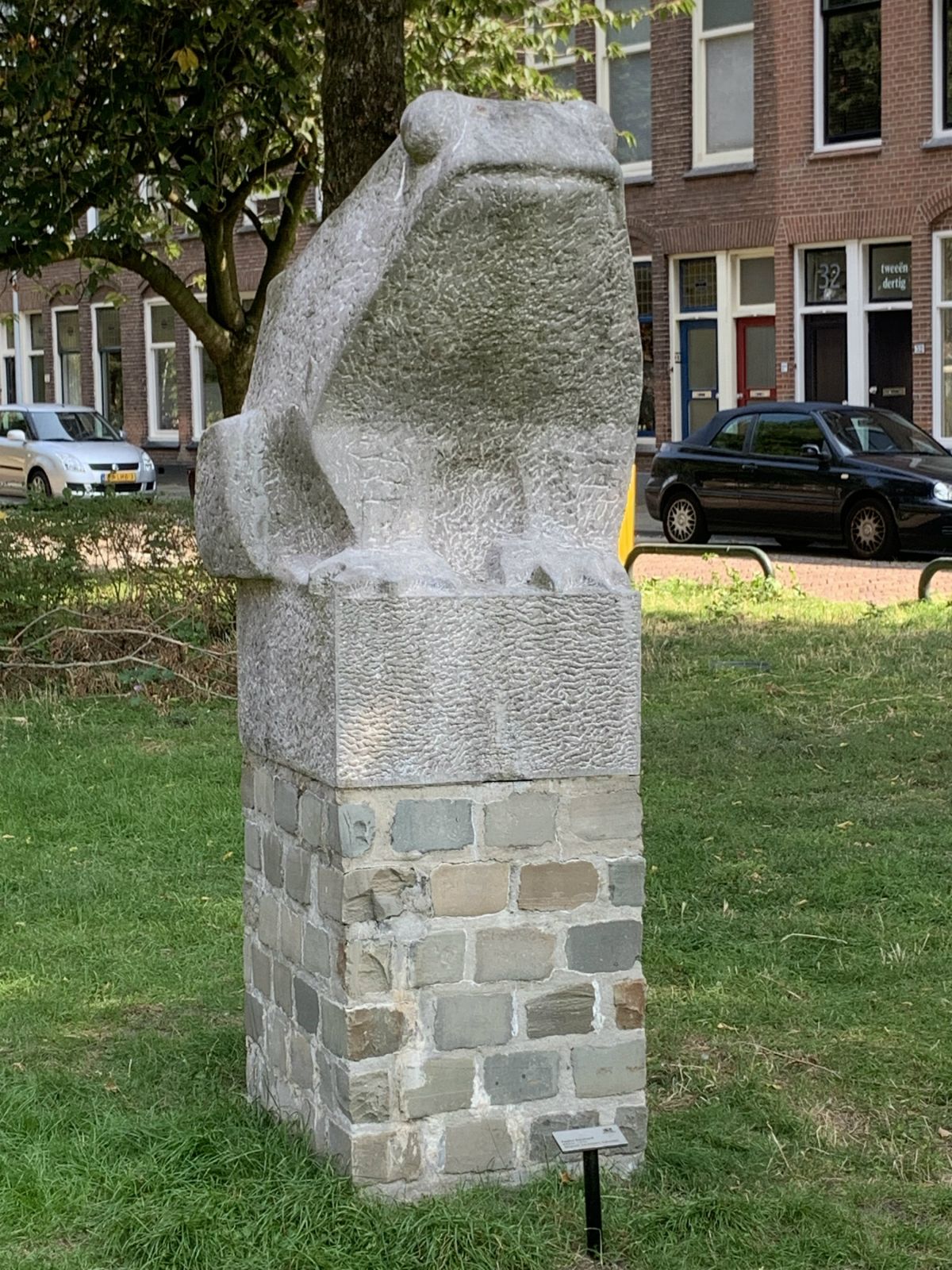 De kikker